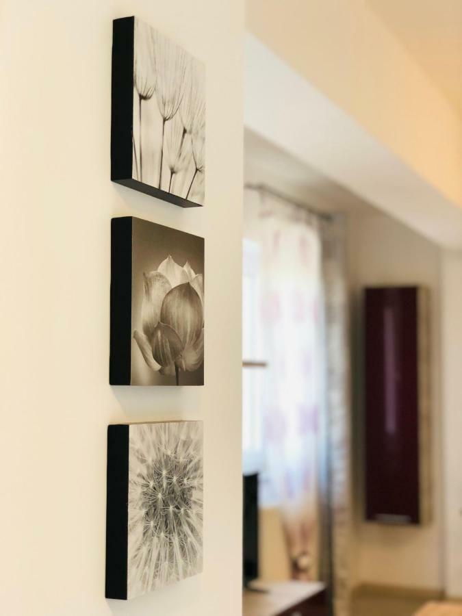 Eme Apartments Brasov Bagian luar foto